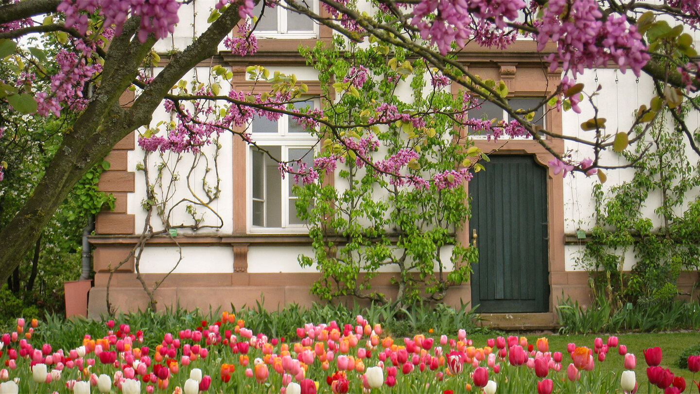 Schau- und Sichtungsgarten Hermannshof