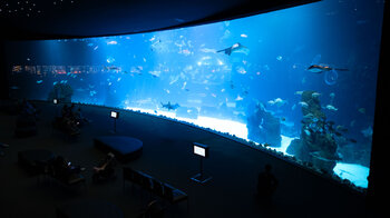 Panoramafenster der Tiefsee im Poema del Mar