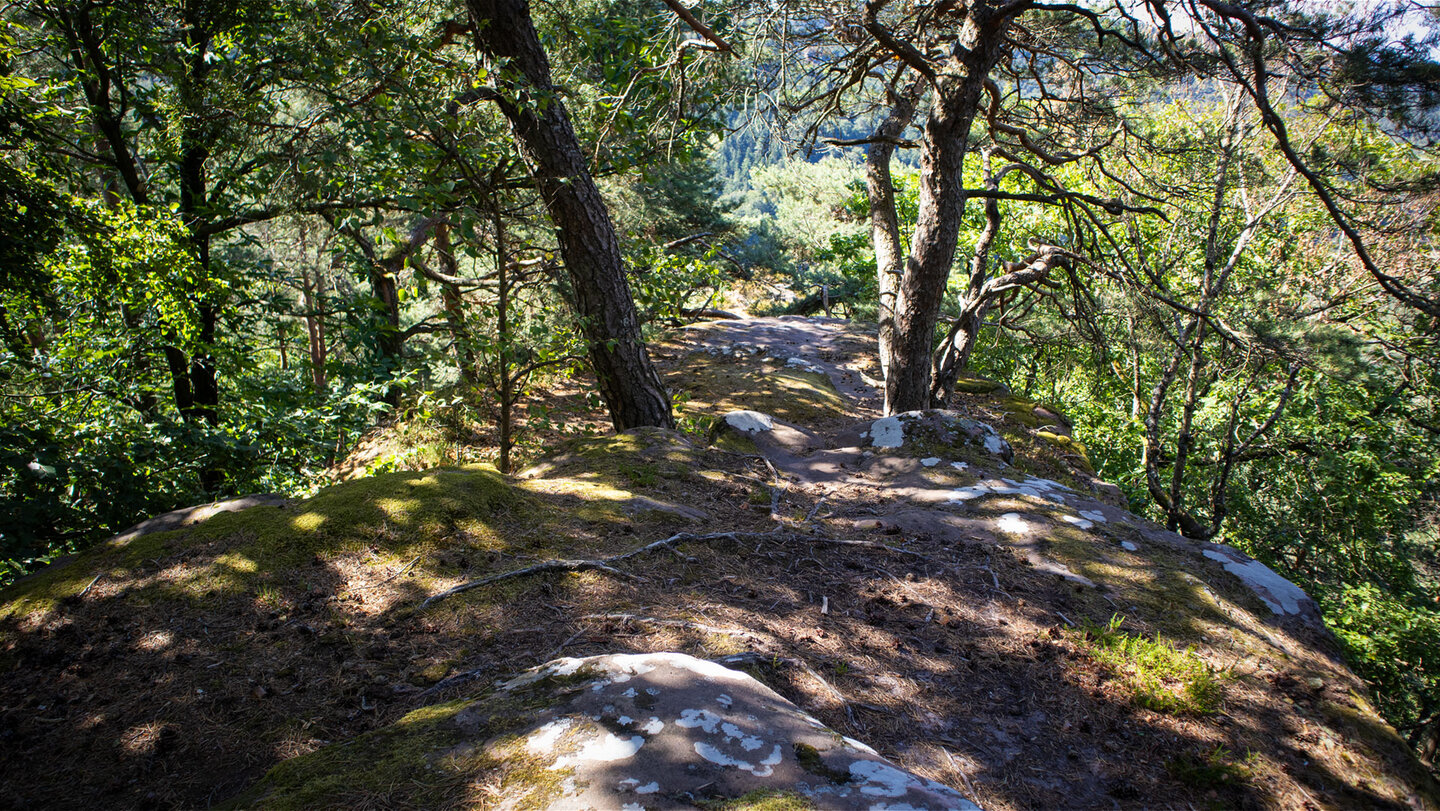 Gipfelplateau des Schandariefelsens.