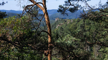 Ausblick auf Klosterfels und Pfaffenfels.