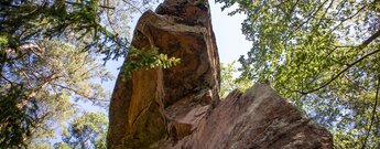 Die rote Buntsandsteinwand des Bärenbrunner Schandariemassivs.