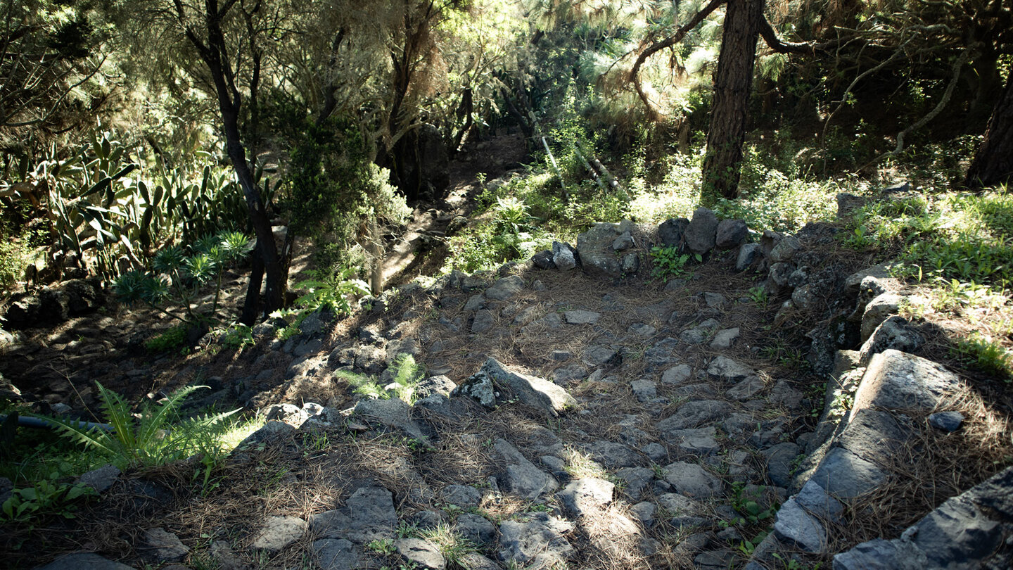 steiler Aufstieg am Wanderweg nach Teno Alto