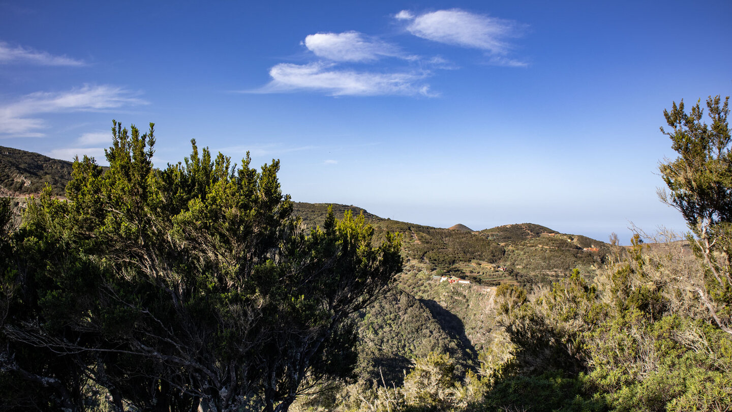 Ausblick vom Wanderweg über Baumheide-Büsche auf den Atlantik