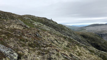 Blick zum Gipfel des Rimstigfjellet (1.299 m)