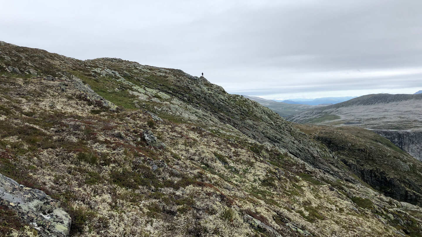 Blick zum Gipfel des Rimstigfjellet (1.299 m) Blick zum Gipfel des Rimstigfjellet (1.299 m)