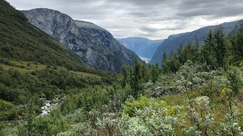 kleine Bäche auf dem Weg zum Rimstigfjellet