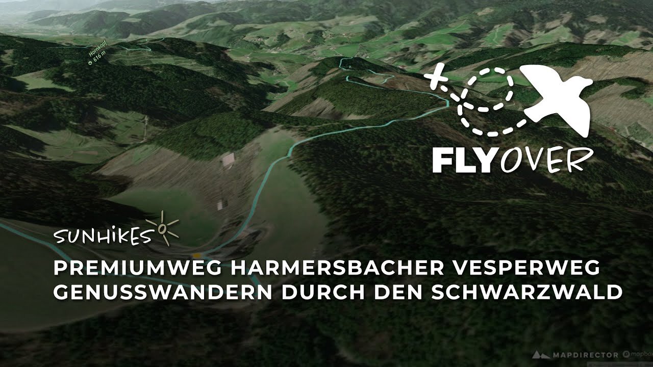 Premiumweg Harmersbacher Vesperweg – Flyover