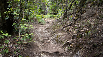 der Wanderpfad Los Barranquillos entlang der Ruta 4