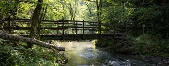 Brücke über die Gauchach