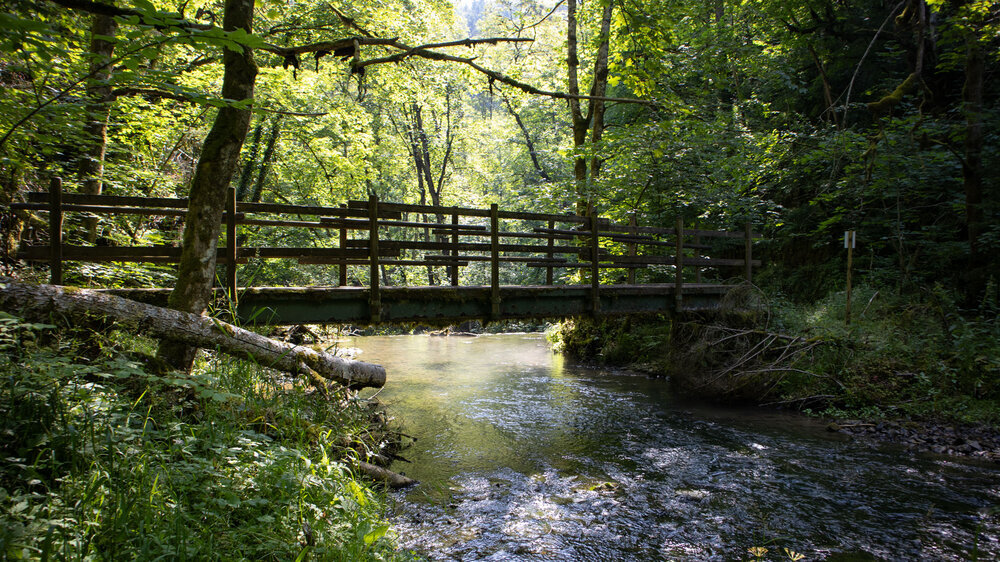 Brücke über die Gauchach