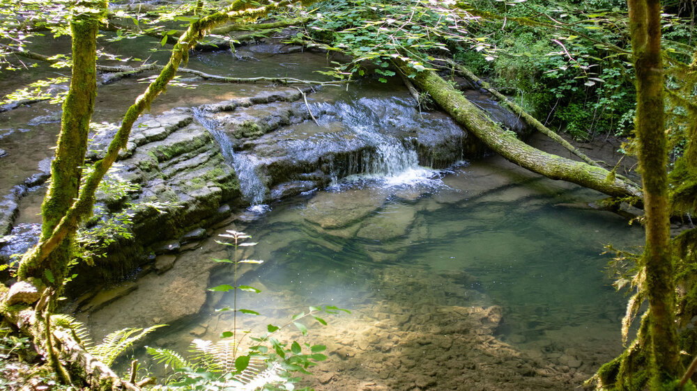 Wasserfälle im Oberlauf der Gauchach