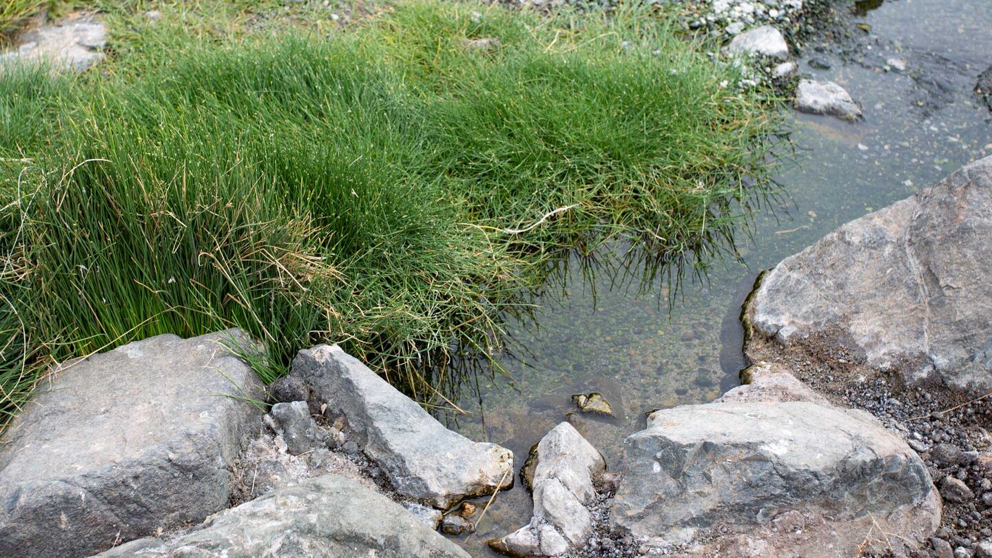 ganzjähriger Wasserlauf im Barranco de la Solapa