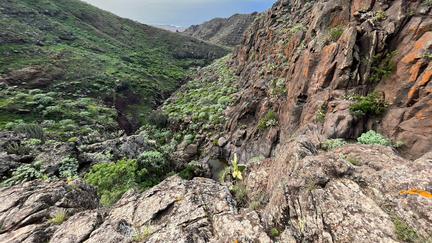 Blick zur Küste vom steil aufsteigenden Wanderpfad am Damm Blick vom steil aufsteigenden Wanderpfad am Damm