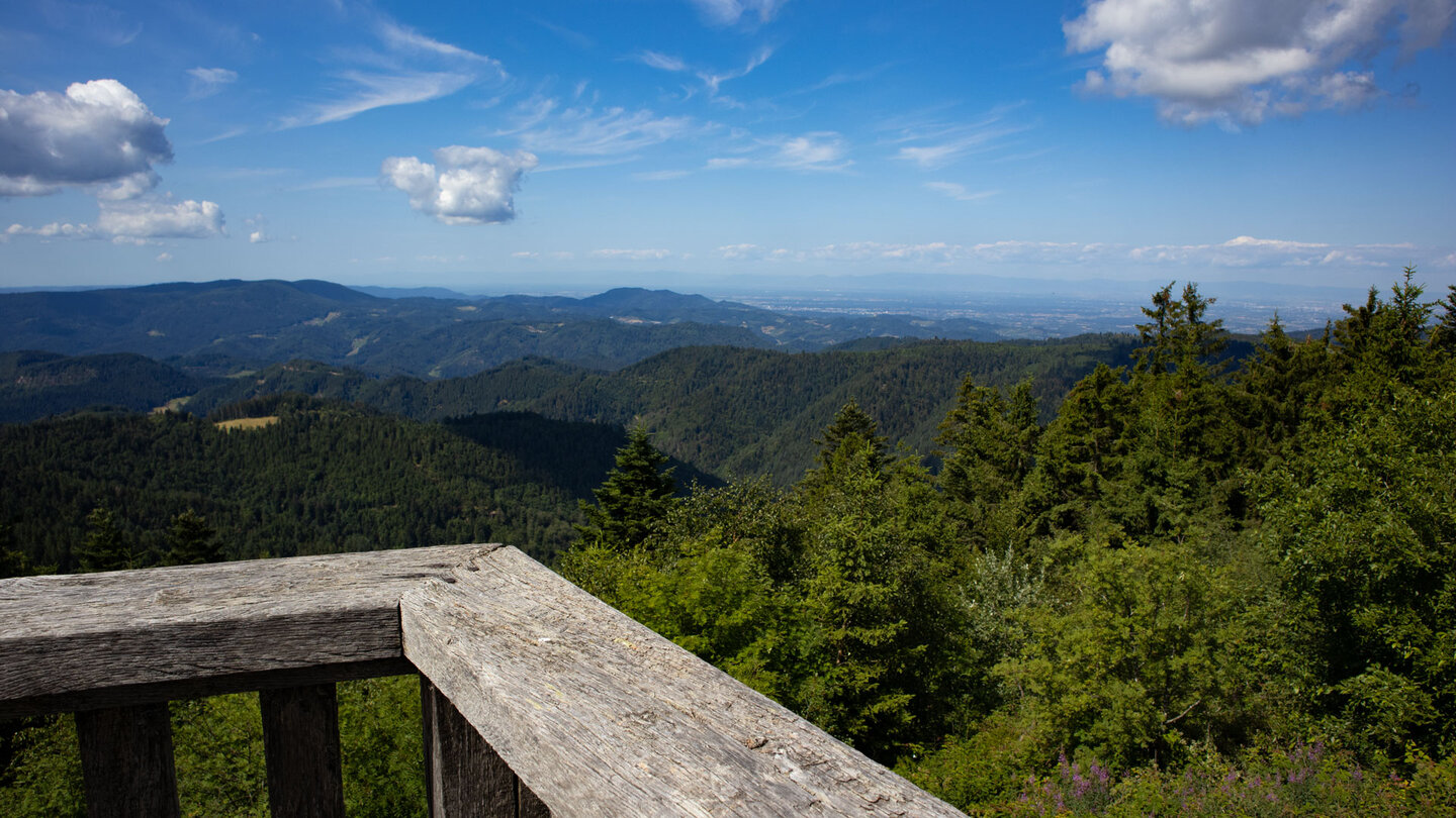 Blick ins Lierbachtal bis zur Rheinebene vom Aussichtspunkt