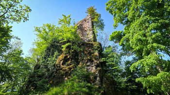 Château du Nideck bei Oberhaslach im Elsass