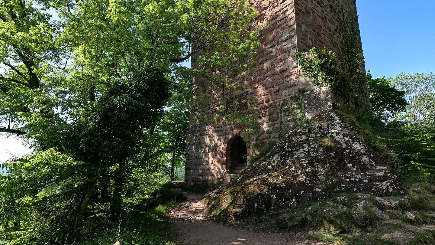 Bergfried der Unterburg am Château du Nideck