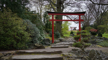 Blick auf ein Torii im Japanischen Garten im egapark