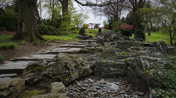 ein Gartenweg im Japanischen Garten im egapark führt zu einem Torii