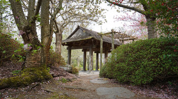 ein Gartenhaus zwischen Kirschbäumen im Japanischen Garten im egapark