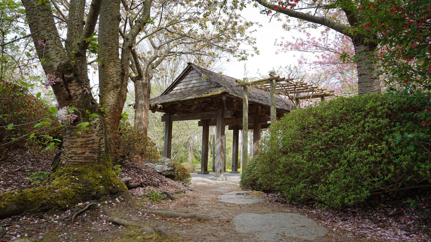 ein Gartenhaus zwischen Kirschbäumen im Japanischen Garten im egapark