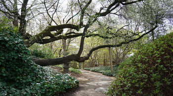 schön angelegte Wege führen durch den Japanischen Garten im egapark
