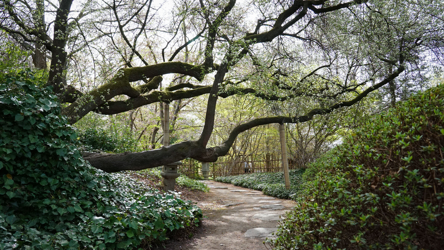 schön angelegte Wege führen durch den Japanischen Garten im egapark