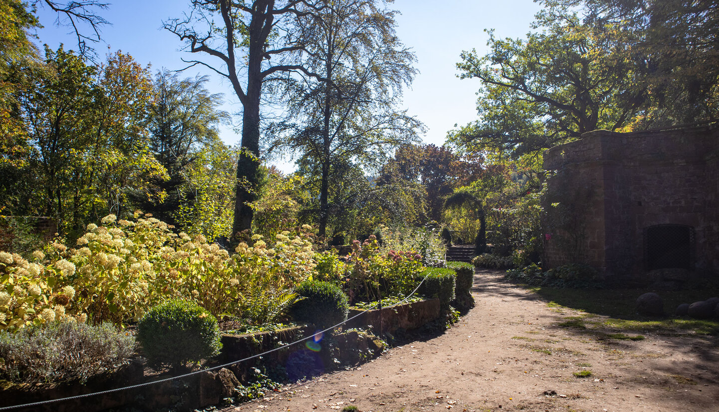 Gepflegter Burggarten der Burg Berwartstein mit Hortensienrabatten, Buchshecken und alten Sandsteinmauern