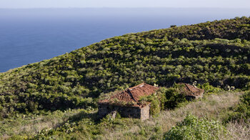 verlassene Finca auf dem Weg nach Gallegos