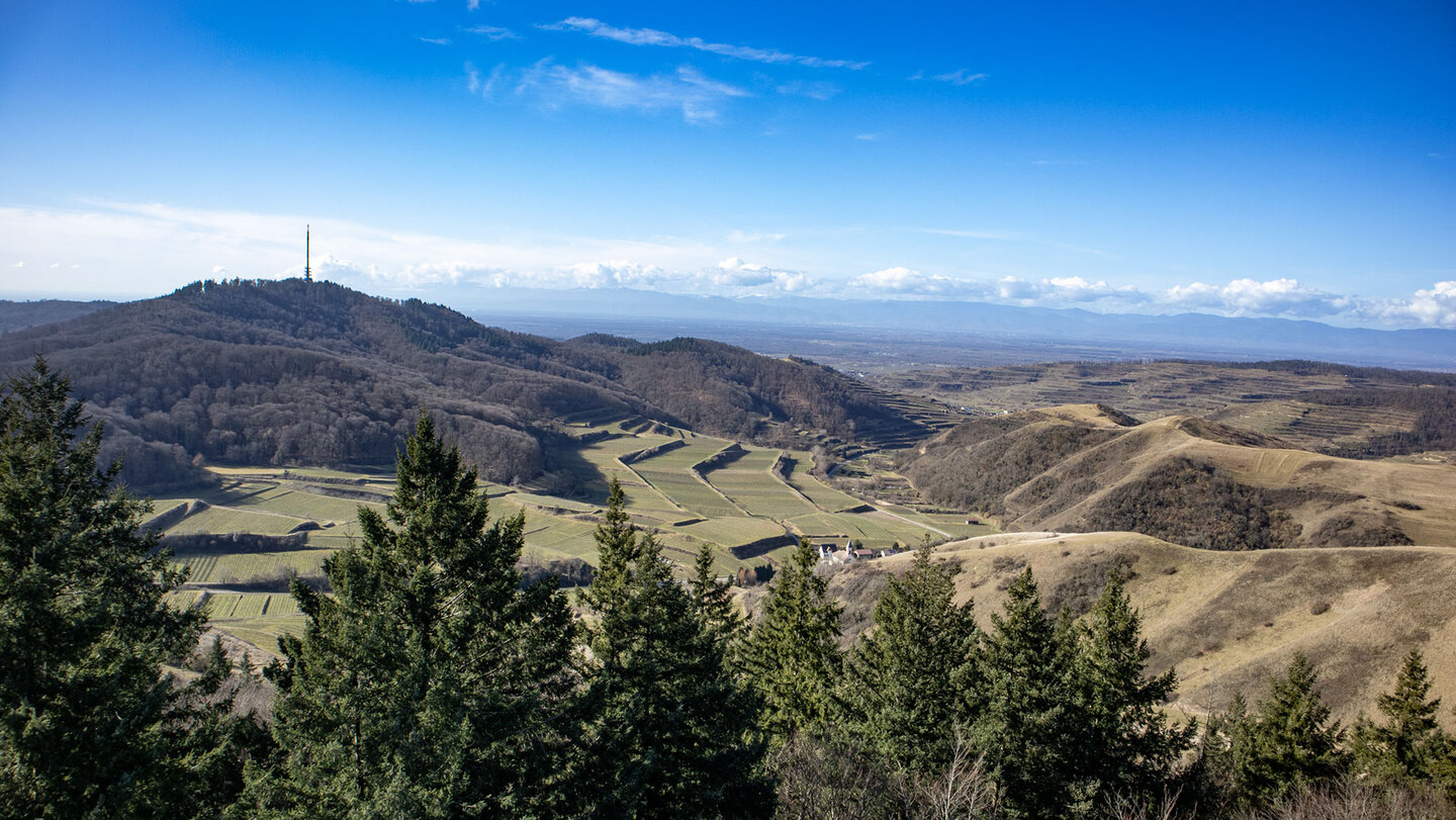 Blick vom Eichelspitzturm zum Totenkopf