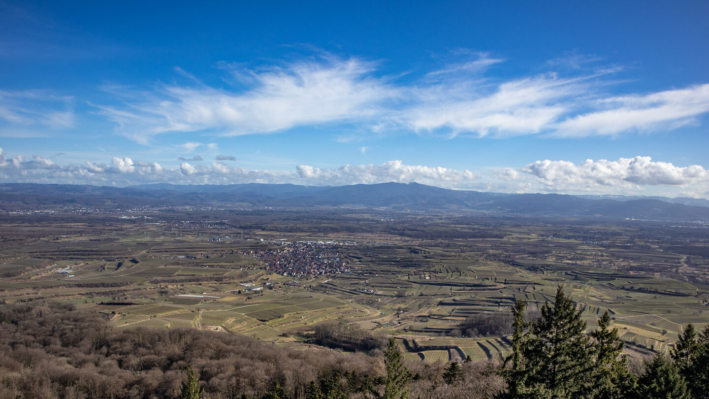 Panorama vom Eichelspitzturm im Kaiserstuhl