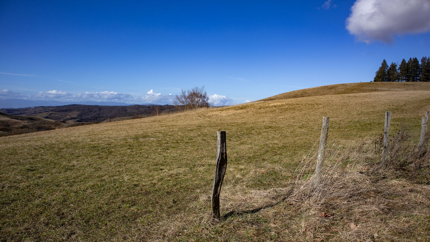 die Schelinger Höhe im Kaiserstuhl