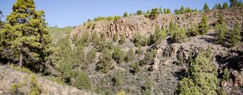 die Wanderung verläuft unterhalb Felsklippen durchs Barranco Era la Tosca