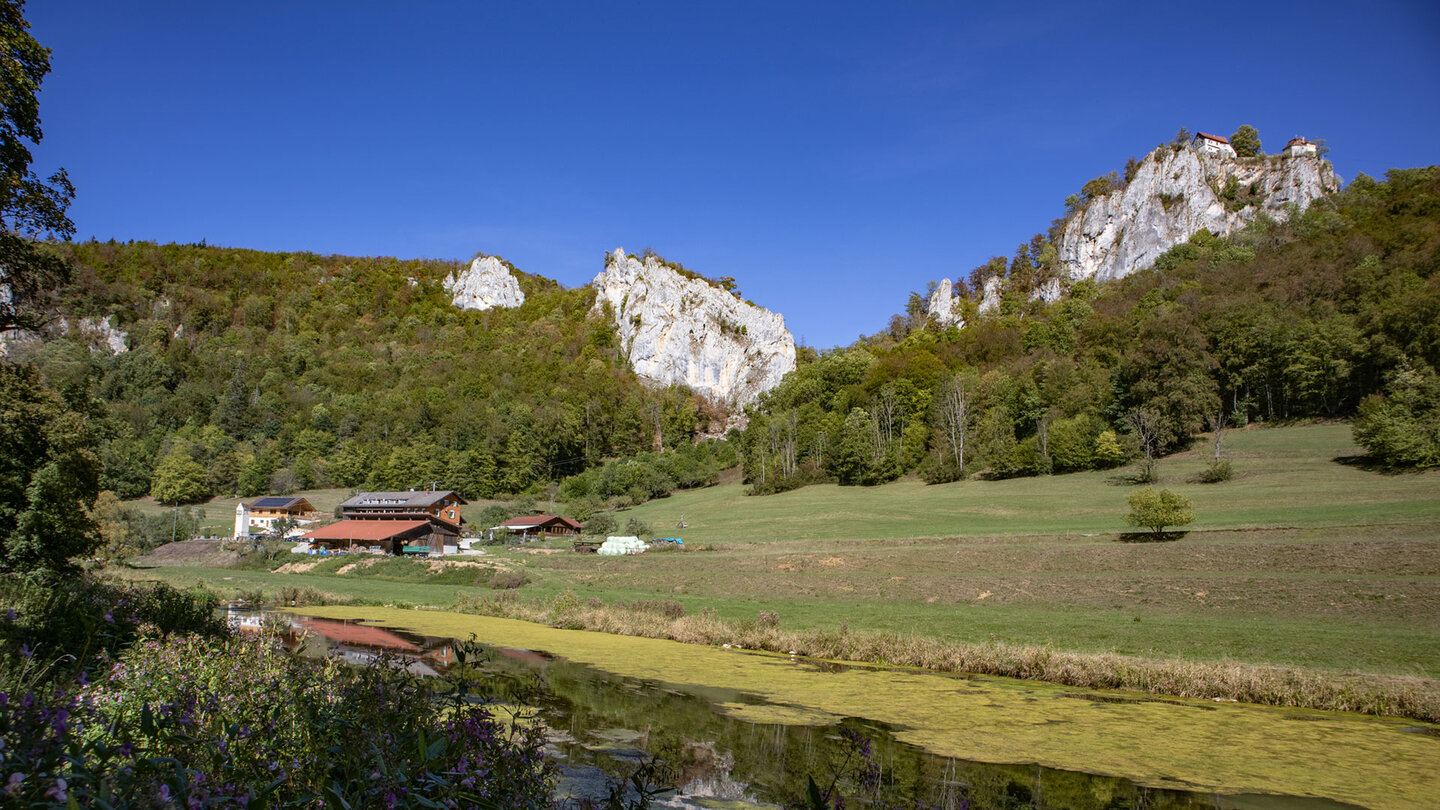 Panorama des Donautals mit Gasthaus, Weiden und Kalkfelsen