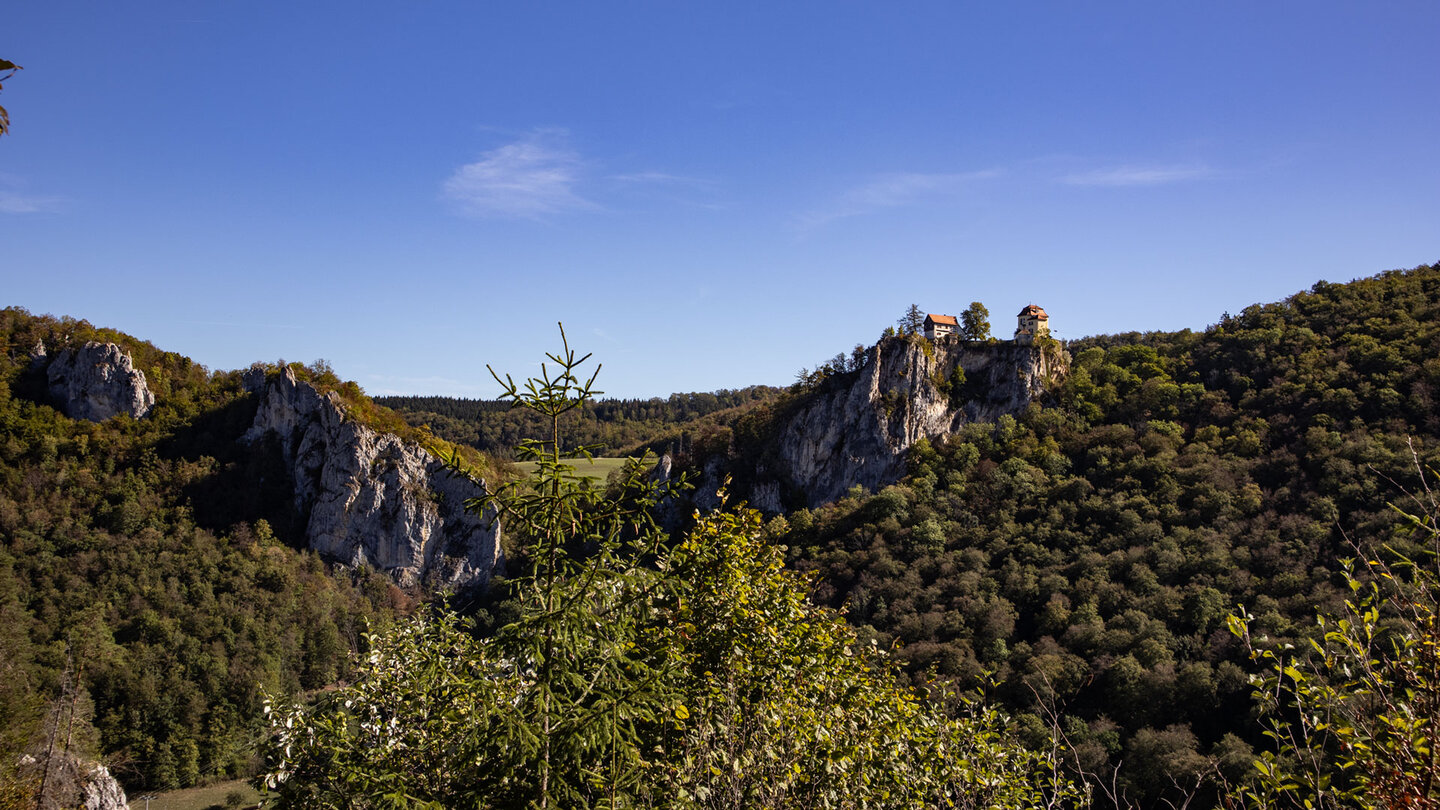 Fernblick auf Schloss Bronnen oberhalb des Jägerhauses