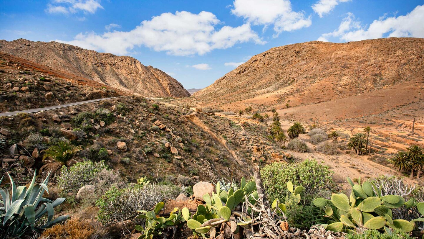 Blick über die Schlucht Barranco de las Peñitas Blick über die Schlucht Barranco de las Peñitas