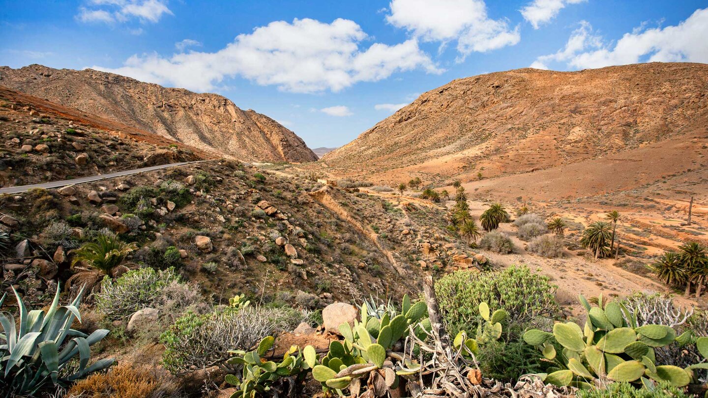 Blick über die Schlucht Barranco de las Peñitas