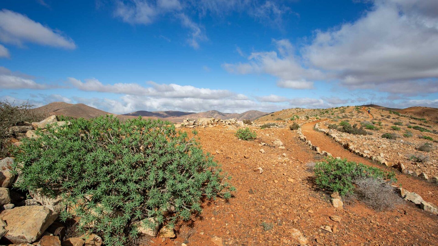 der Höhenwanderweg SL FV 31 bei Betancuria der Höhenwanderweg SL FV 31 bei Betancuria