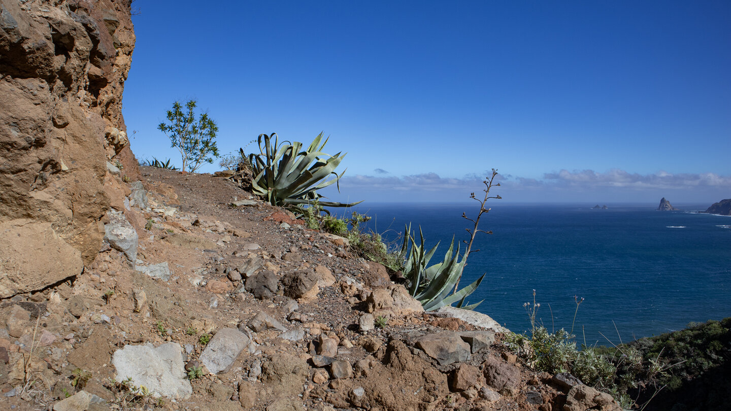 die Route im Anaga bietet sensationelle Ausblicke entlang der Westküste Teneriffas Ausblicke entlang der Westküste Teneriffas im Anaga