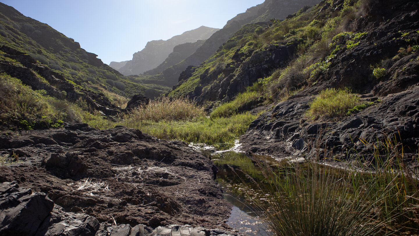 Bachlauf im Barranco de Afur