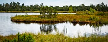 Wildsee bei Kaltenbronn