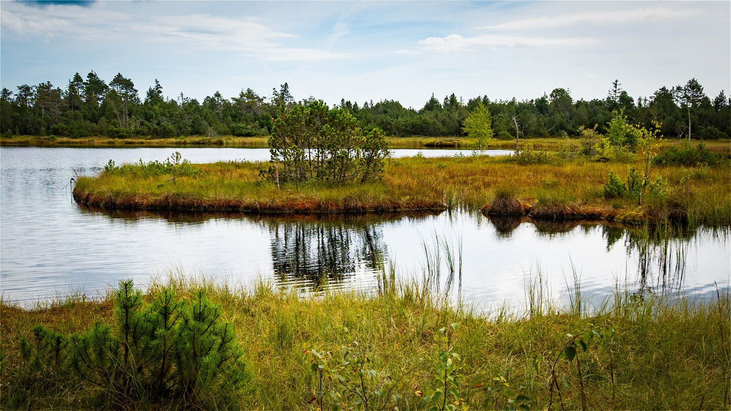 Wildsee bei Kaltenbronn