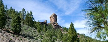 Ausblick auf den Roque Nublo auf Gran Canaria