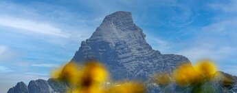 Gipfel des Hochvogels in den Allgäuer Alpen