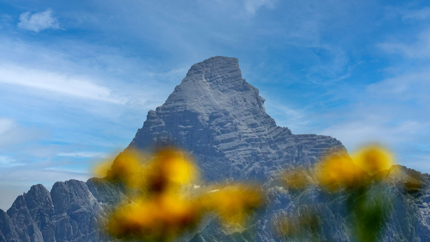 Gipfel des Hochvogels in den Allgäuer Alpen