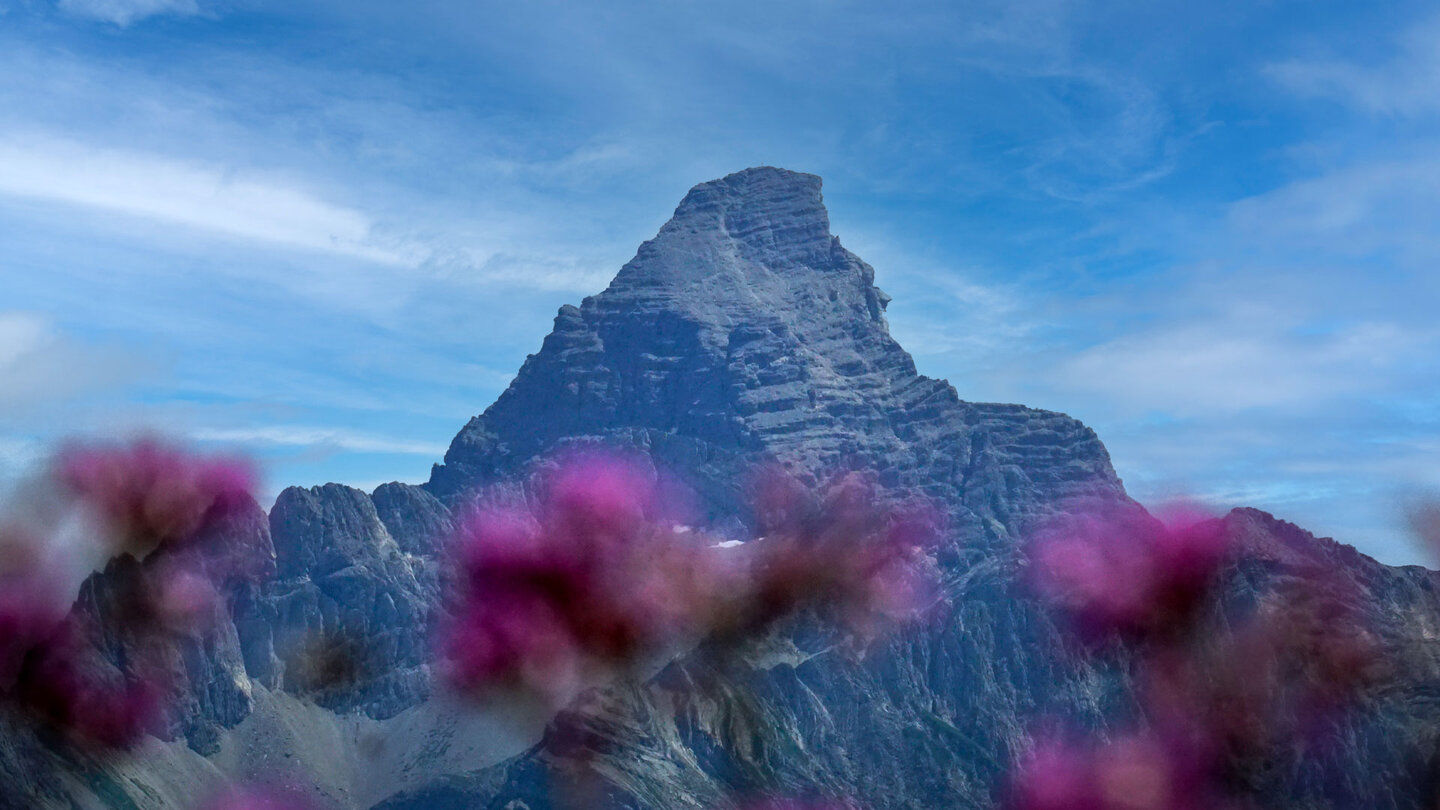 der Hochvogel mit seinen Felsformationen an den Bergflanken