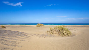 Sandflächen am Strand Playa de Cofete