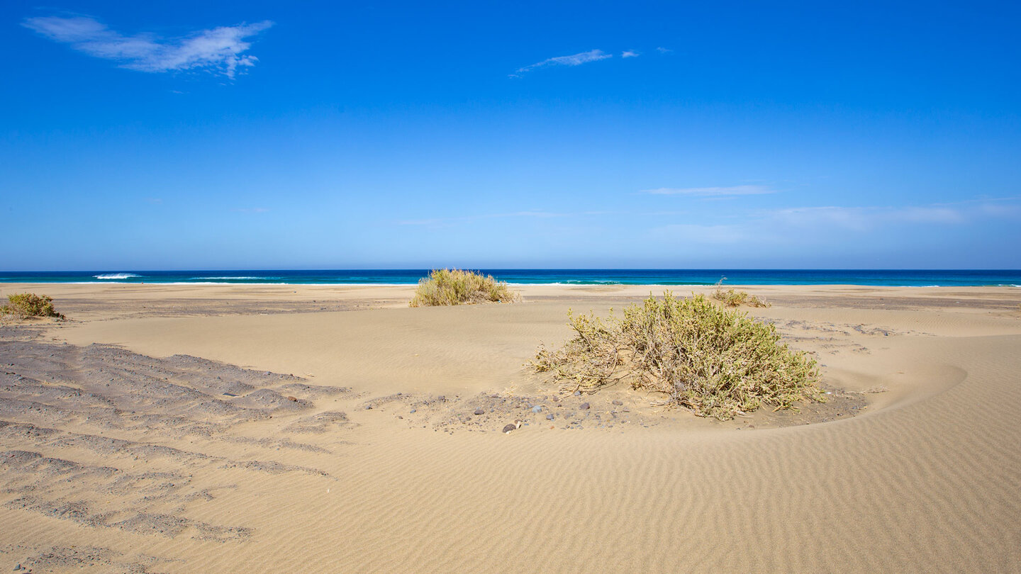 Sandflächen am Strand Playa de Cofete