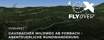 Gausbacher Wildweg ab Forbach – Flyover