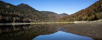 Lac de Kruth-Wildenstein in den Vogesen
