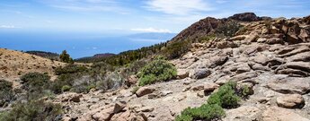 Cumbres de Ucanca liegt am Rand der Caldera des Teides